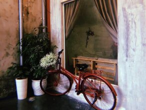 Cocoin Host & Snack Bar