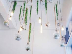 Dream Lodge, фото 13 Dream Lodge, фото 13