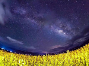 Shangri La Salloi Rustic Luxury Hotel, фото 36