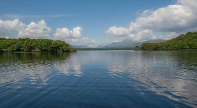 Parkview Guest House, фото 38