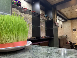 Hostel Marion, фото 18 Hostel Marion, фото 18