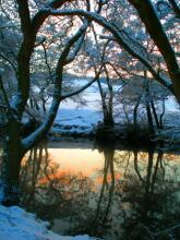 Harefield Hall, фото 35 Harefield Hall, фото 35