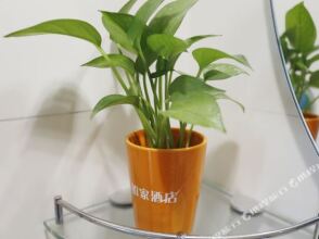 Home Inn, фото 18 Home Inn, фото 18