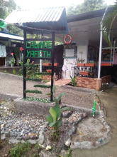 Cabinasyafethosa caletas, фото 2