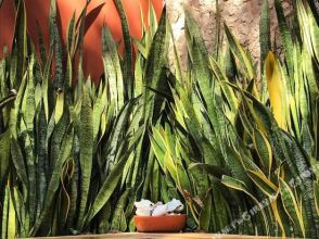 Casa de Camposampiero, фото 24 Casa de Camposampiero, фото 24