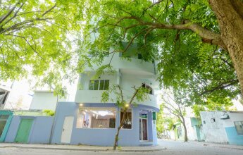 Green Flora, фото 19 Green Flora, фото 19