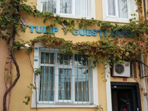 Tulip Guesthouse Boutique Class, фото 27