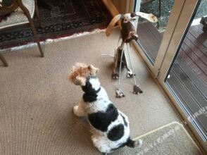 Baywick Inn Bed & Breakfast, фото 48 Baywick Inn Bed & Breakfast, фото 48