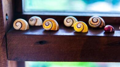 Conchita Flores B&b, фото 23 Conchita Flores B&b, фото 23