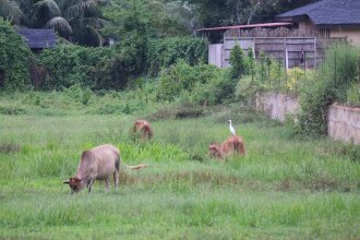 The Crowded House, фото 33 The Crowded House, фото 33