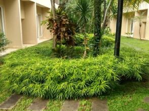 Bali De Anyer and Restaurant, фото 28 Bali De Anyer and Restaurant, фото 28