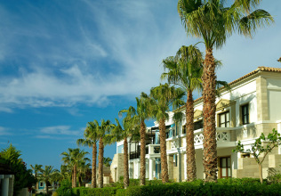 Aldemar Royal Mare