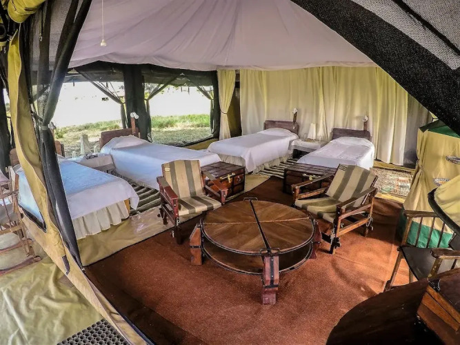 Corfield Camp Tarangire — фото 3