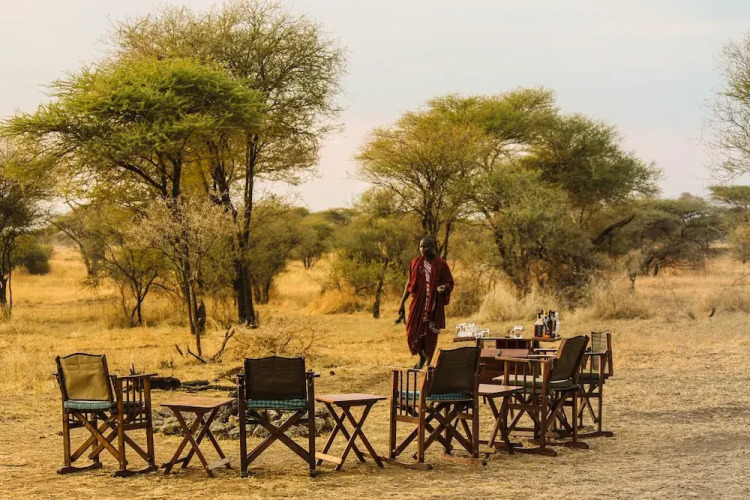 Corfield Camp Tarangire — фото 4