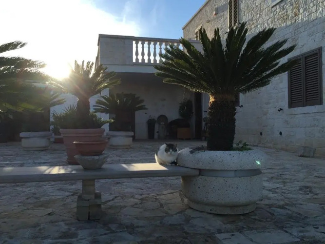 Villa Grassi — фото 5