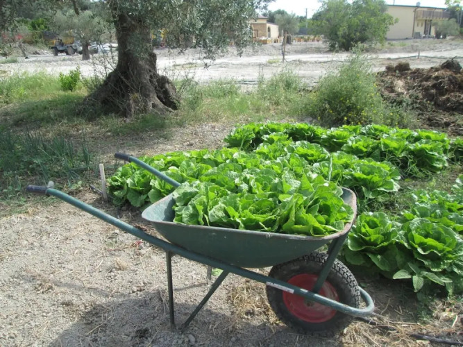 Agriturismo Donna Beatrice