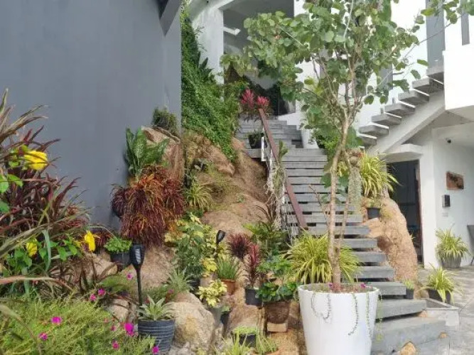Magic Villas&Suites — фото 3