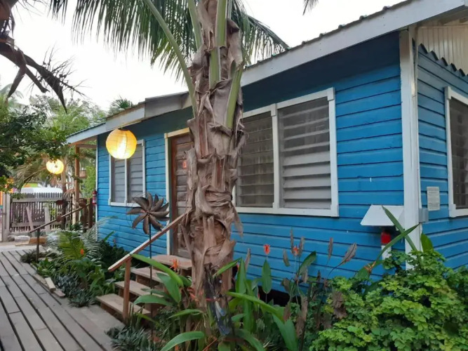 The Funky Dodo Backpackers Hostel — фото 5