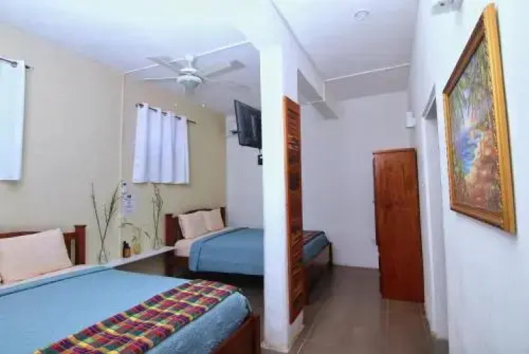 Rainforest Haven Inn — фото 2
