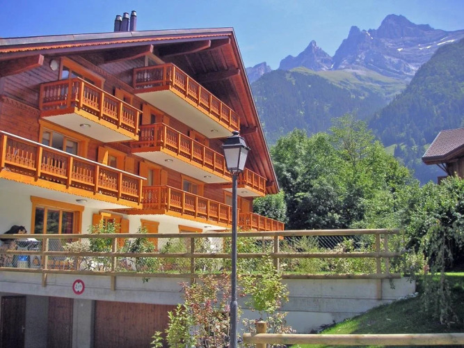 Chalet des Amis — фото 4