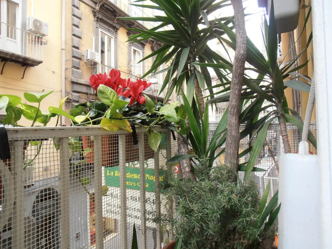 B&B Plebiscito Home