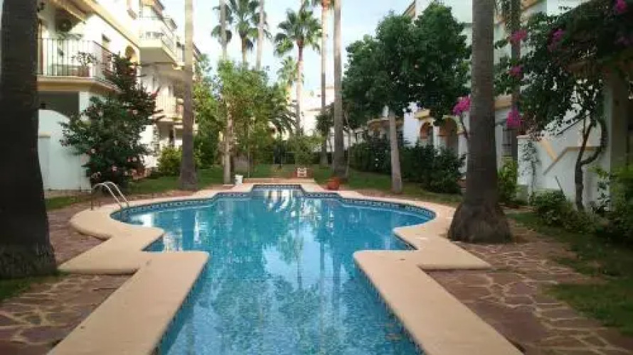 Albadomus — фото 4