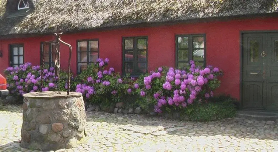 Hjørnegaard Feriebolig — фото 4