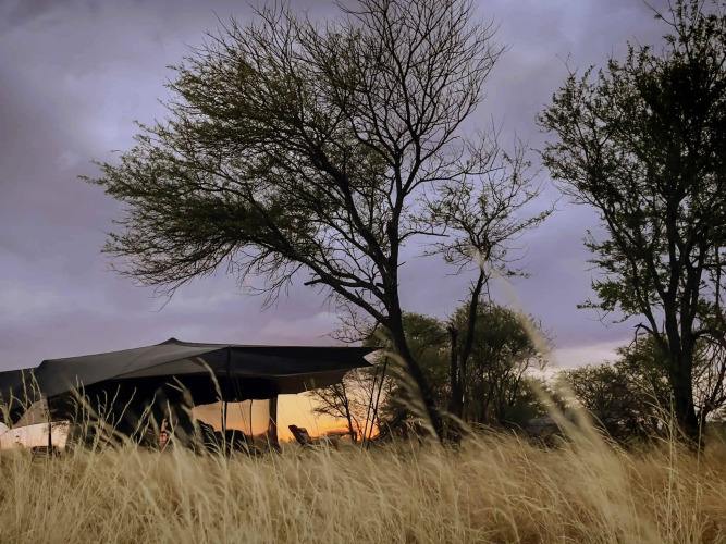 Siringit Migration Camp — фото 4