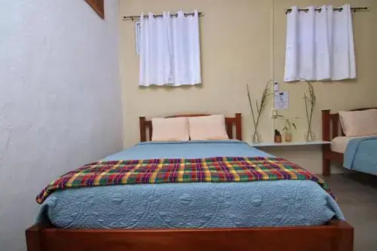 Rainforest Haven Inn — фото 3