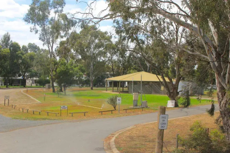 Murray Bridge Caravan Park — фото 4