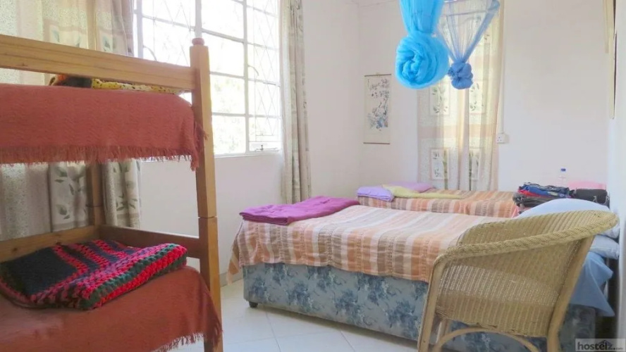 Ann Bruce Backpackers — фото 4