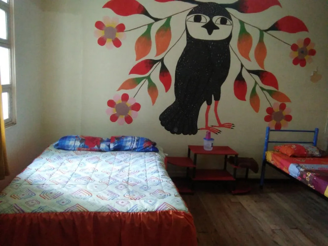 Krishna Hostal - Hostel — фото 3