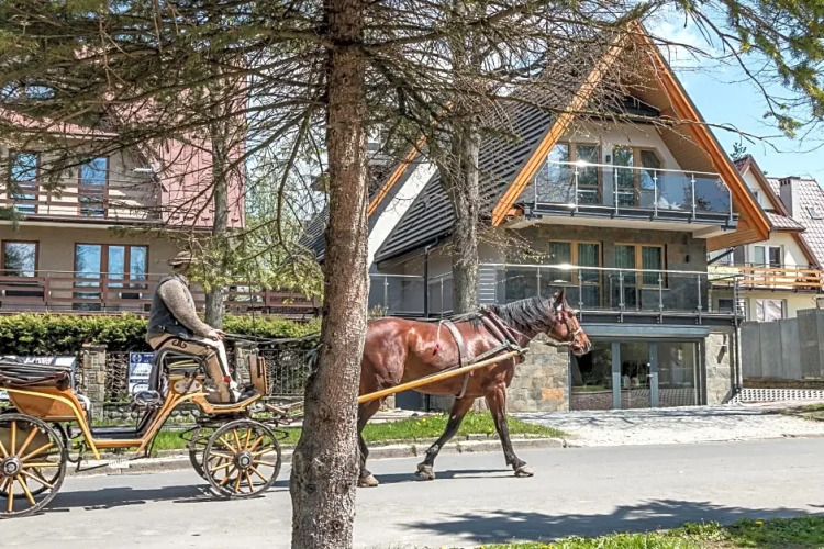 Villa Wierchy — фото 5