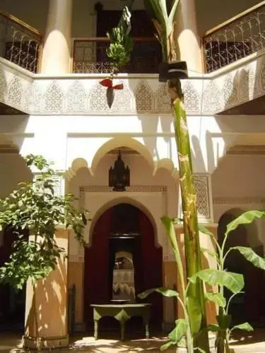 Riad Chraibi — фото 5