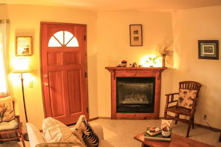 Cymbidium Cottage — фото 3