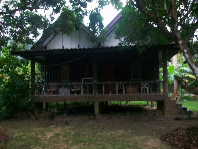 Bamboo House — фото 5
