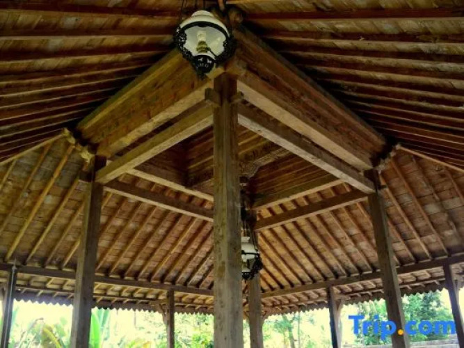 Villa Soegi — фото 2