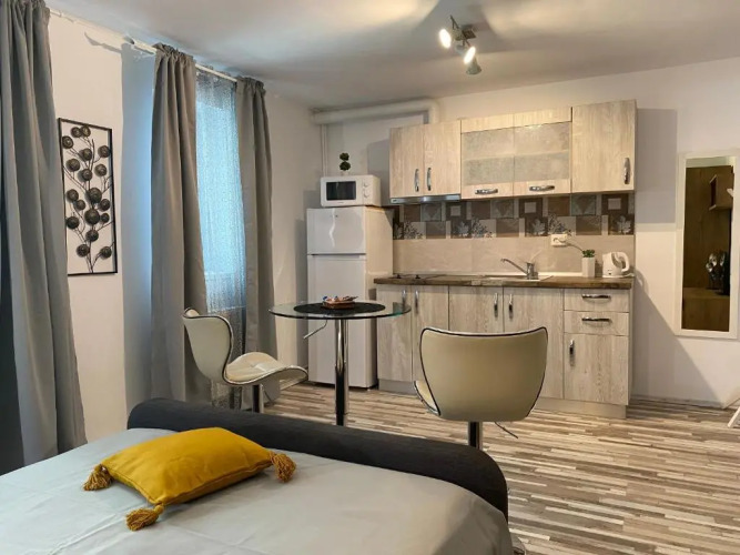 Urseni Studio Apartment — фото 5