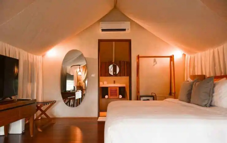 Oak Tree Glamping Resort — фото 4