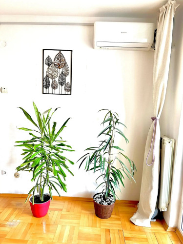 Vintage Bucharest apartment — фото 2