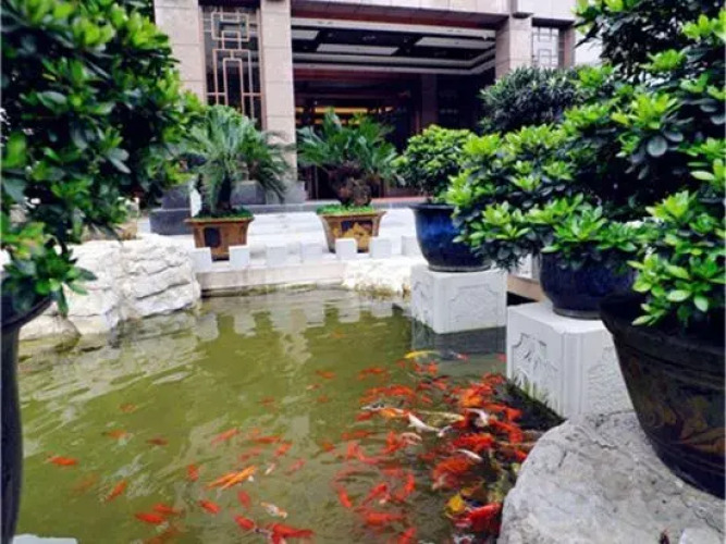Tabao Garden — фото 5
