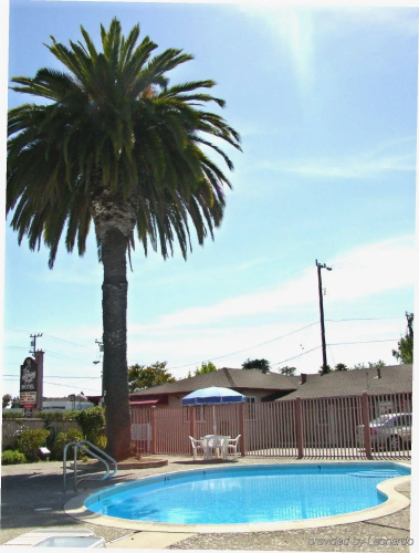 Hitching Post Studios Inn — фото 2