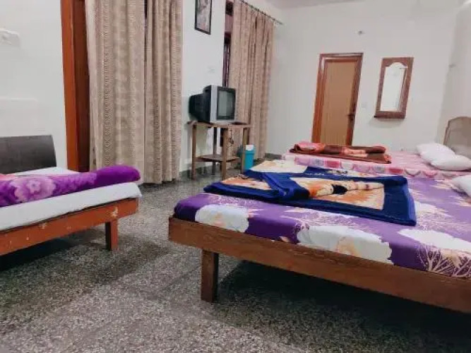 Vidya Guest House — фото 3