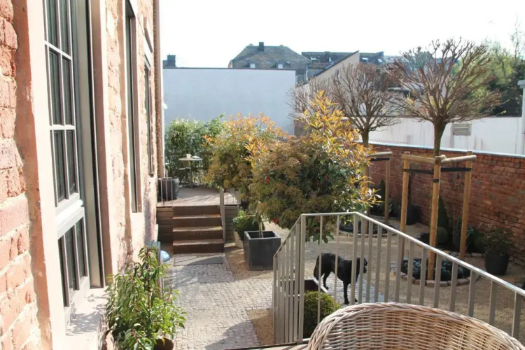 Junior Suite The Backyard TBY 01 — фото 3