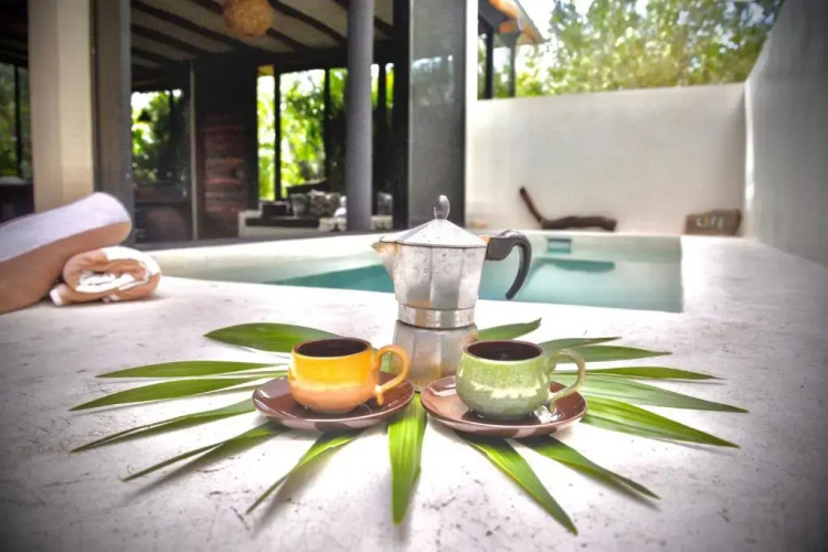 Villa Feronia Tulum — фото 4