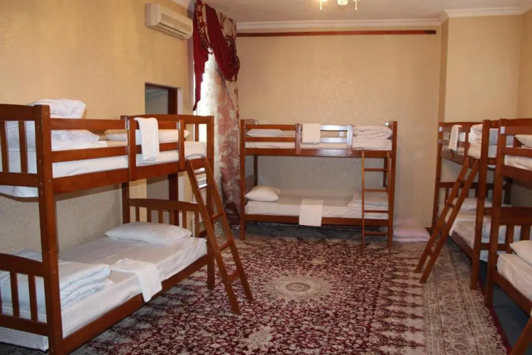 Фотография номера хостела Green House Hostel