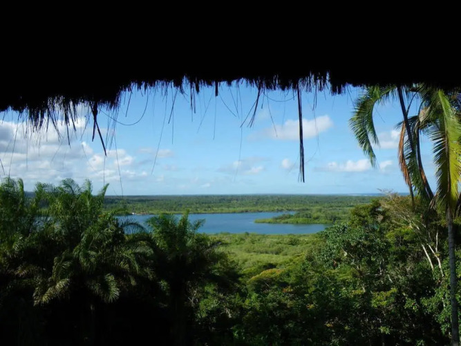 Eco Rainforest House — фото 4