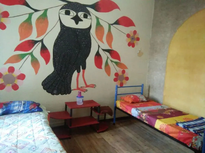 Krishna Hostal - Hostel — фото 4