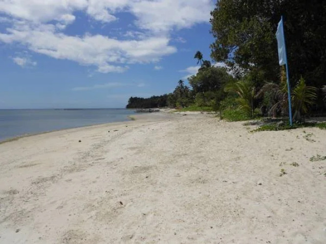 Bunnys Beach Resort — фото 4