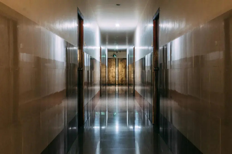 Hotel Ayushman — фото 3